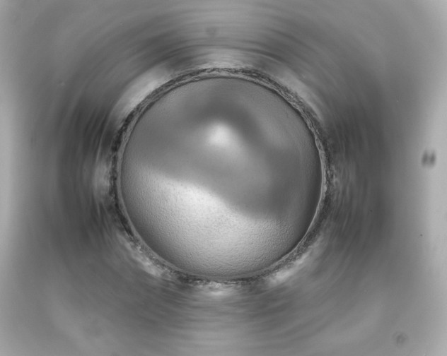 X0000092090874200709121510