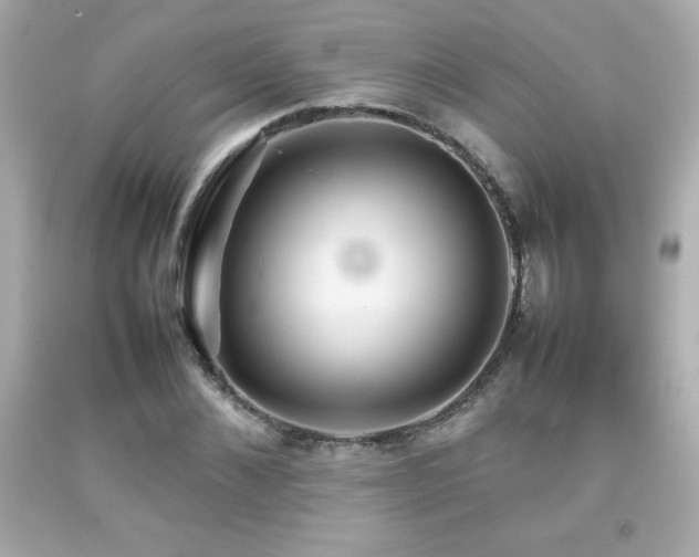 X0000092090876200709121510