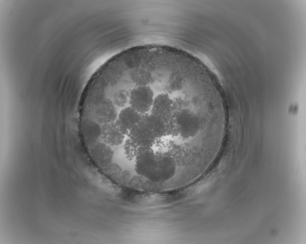 X0000092090879200709121510