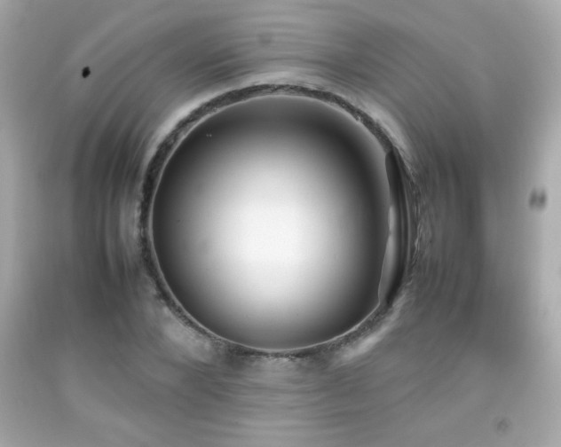 X0000092090880200709121510