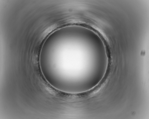 X0000092090881200709121510