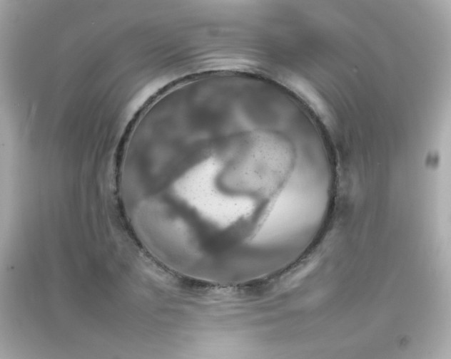 X0000092090883200709121510