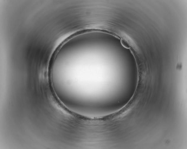 X0000092090884200709121510