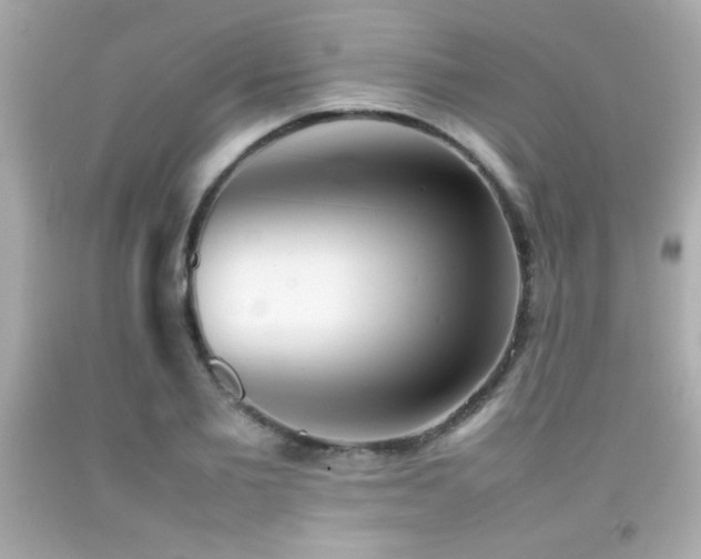 X0000092090885200709121510