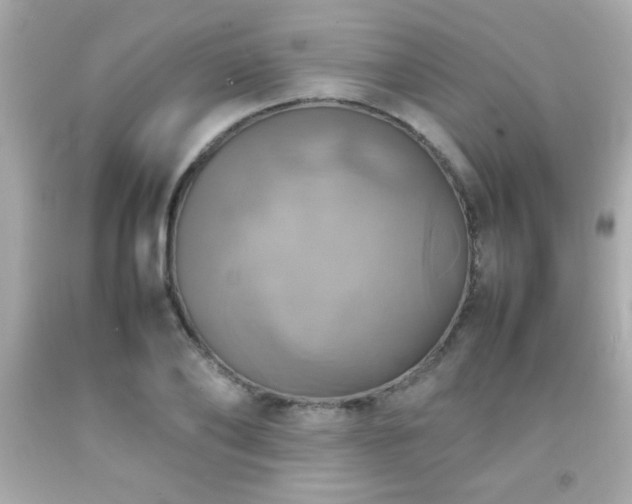 X0000092090886200709121510