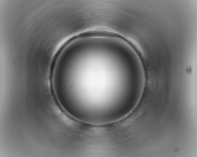 X0000092090888200709121510
