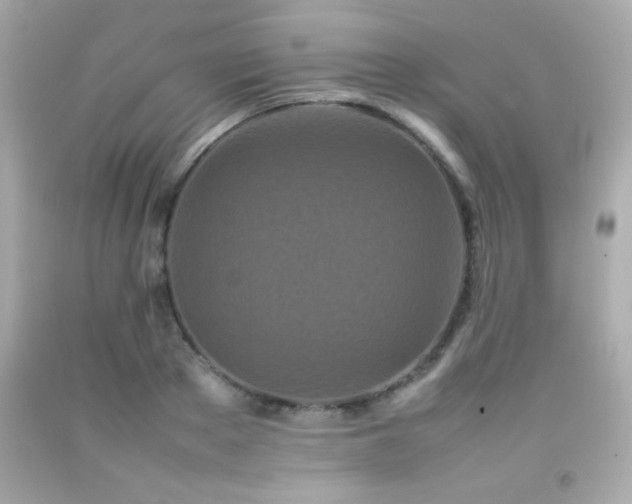 X0000092090889200709121510