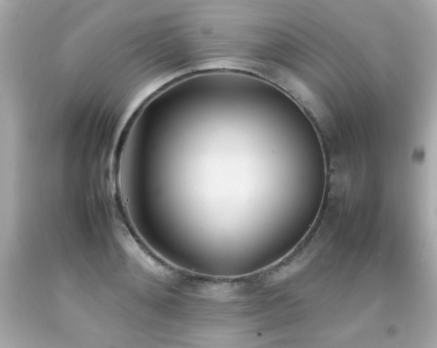 X0000092090892200709121510