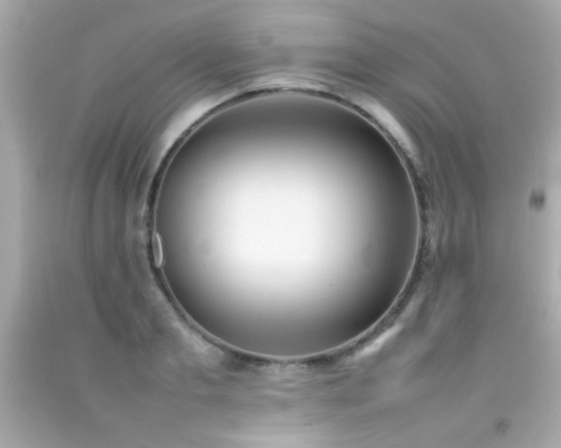 X0000092090893200709121510
