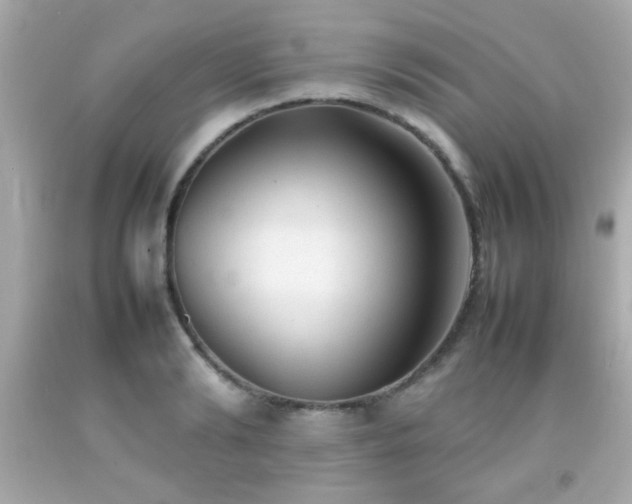 X0000092090894200709121510