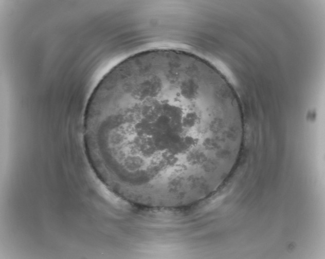 X0000092090895200709121510