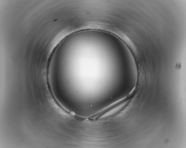 X0000092090896200709121510