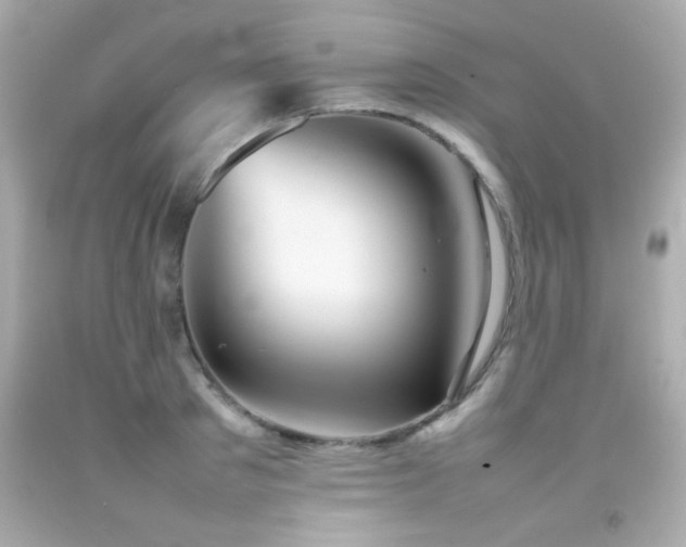 X0000092090897200709121510