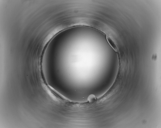 X0000092090898200709121510