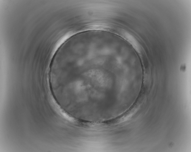 X0000092090899200709121510