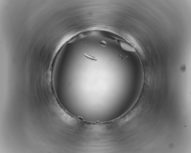 X0000092090900200709121510