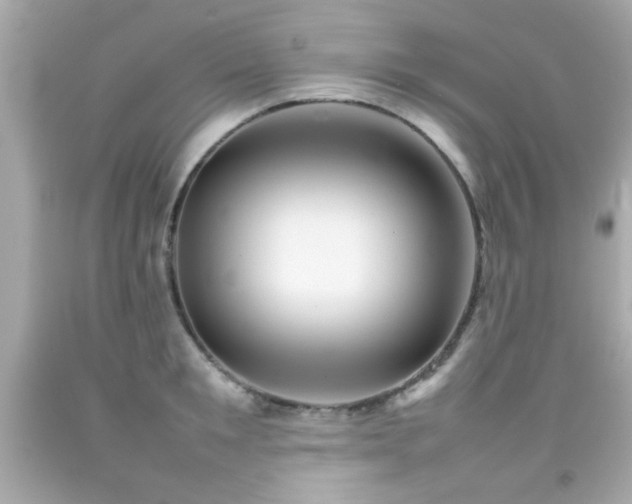 X0000092090901200709121510