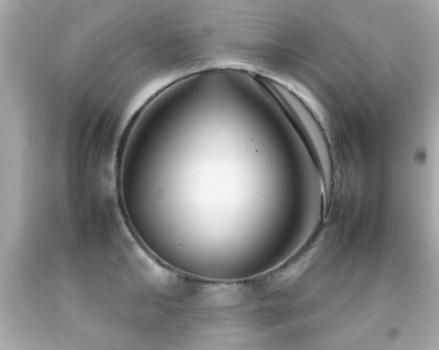 X0000092090902200709121510