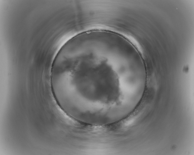 X0000092090903200709121510
