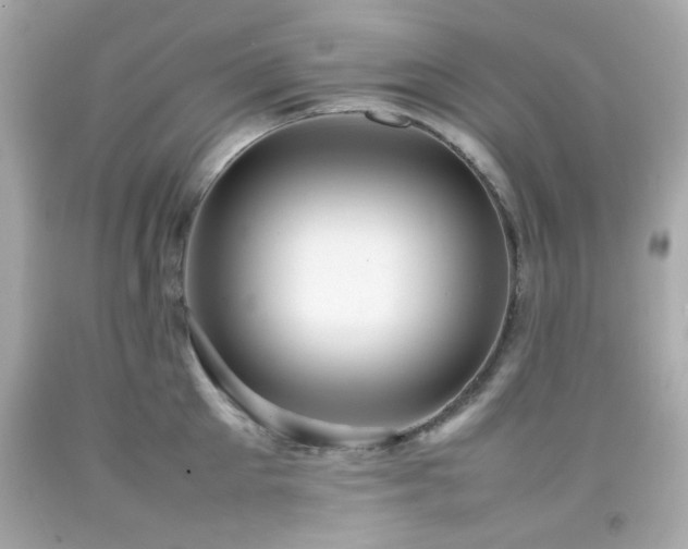 X0000092090905200709121510