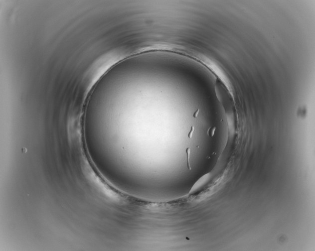 X0000092090906200709121510