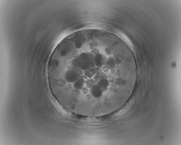 X0000092090907200709121510