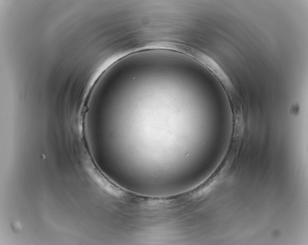 X0000092090908200709121510