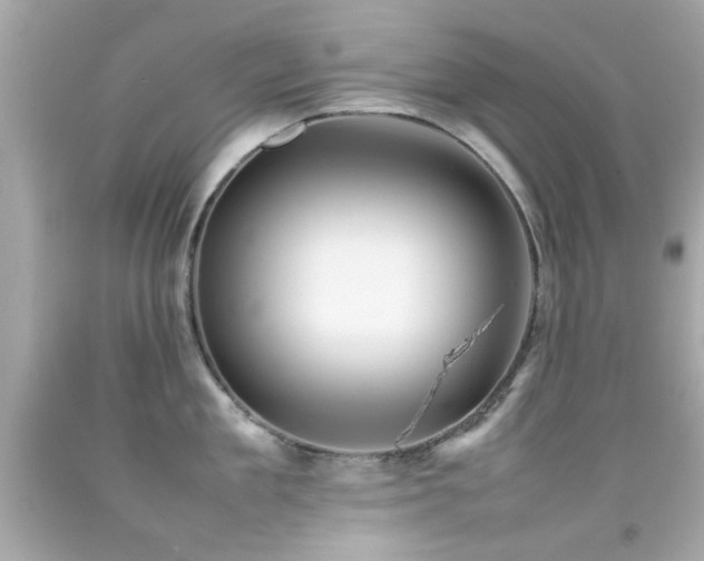 X0000092090909200709121510