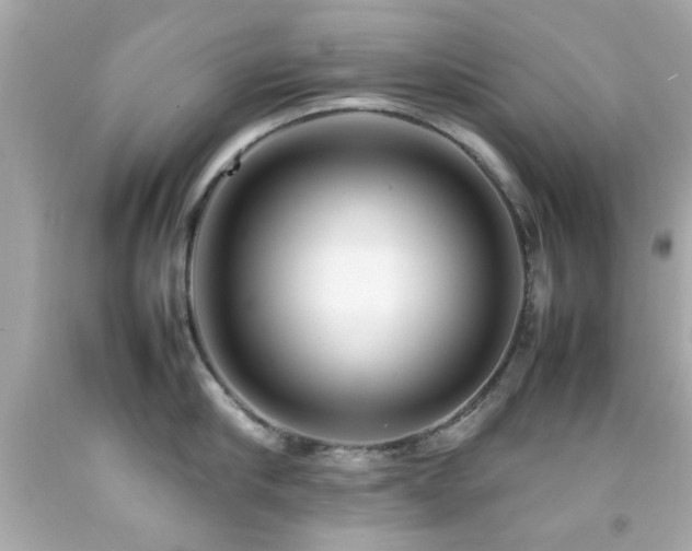 X0000092090910200709121510