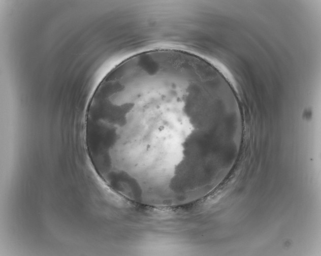 X0000092090911200709121510