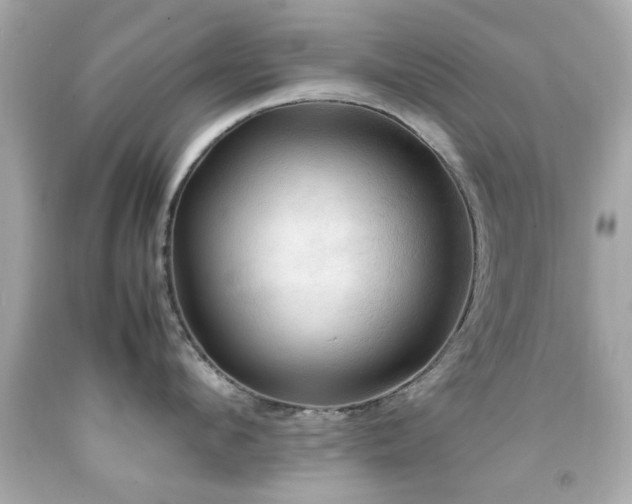 X0000092090912200709121510