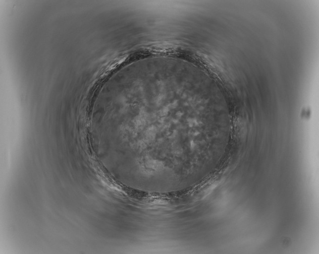 X0000092090913200709121509