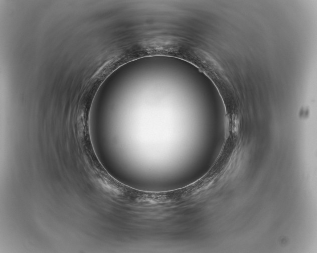 X0000092090915200709121509