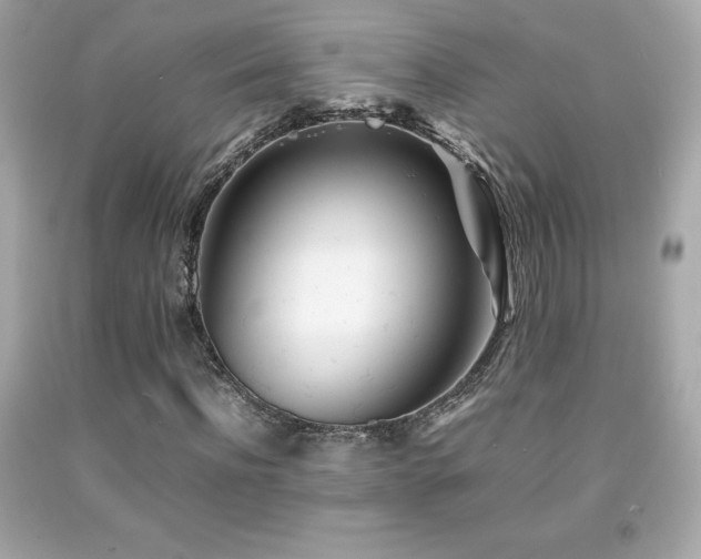 X0000092090916200709121509