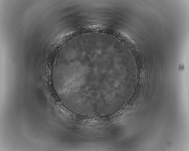 X0000092090917200709121509