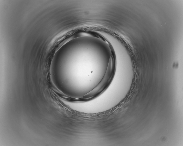 X0000092090920200709121509