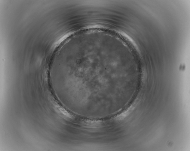 X0000092090921200709121509