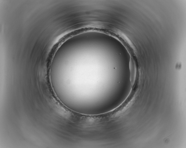 X0000092090923200709121509
