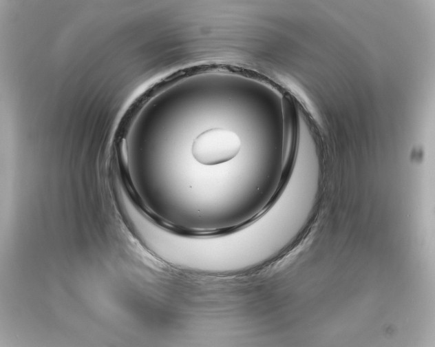 X0000092090924200709121509
