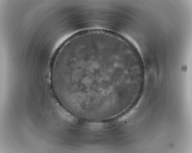 X0000092090925200709121509