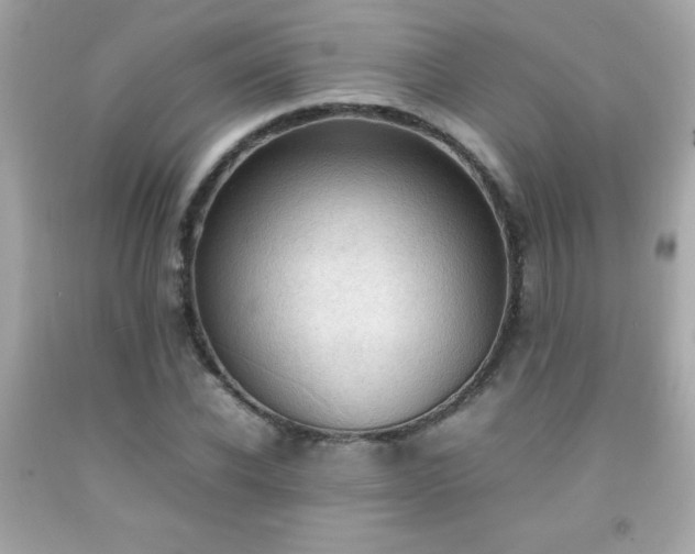 X0000092090926200709121509