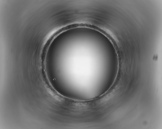 X0000092090927200709121509