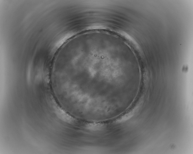 X0000092090929200709121509