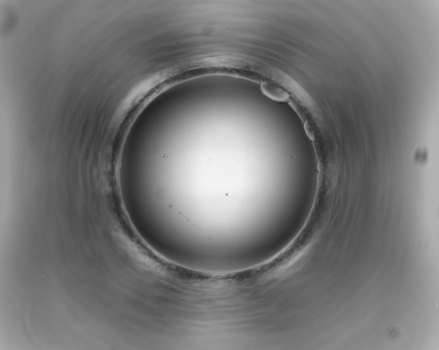X0000092090930200709121509