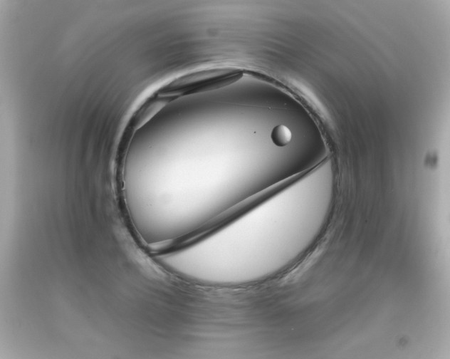 X0000092090932200709121509