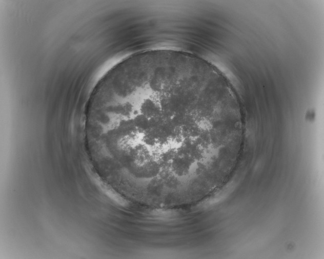X0000092090933200709121509