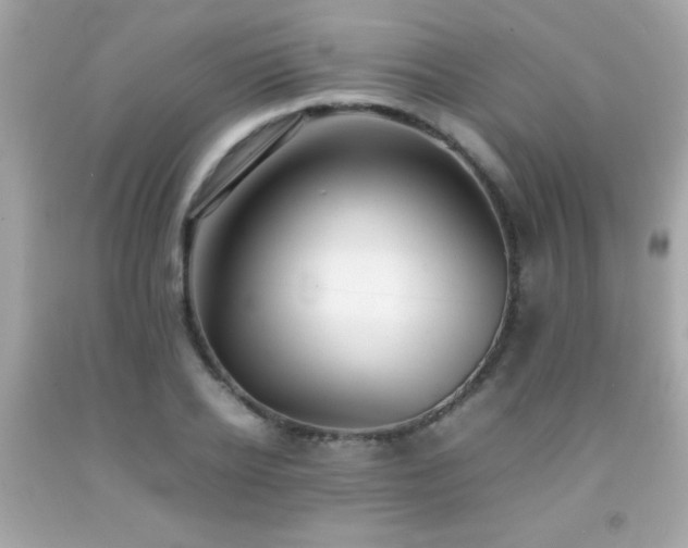 X0000092090934200709121509