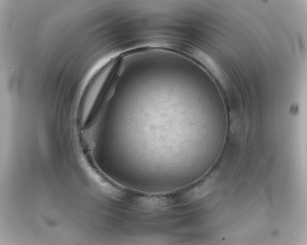 X0000092090939200709121509