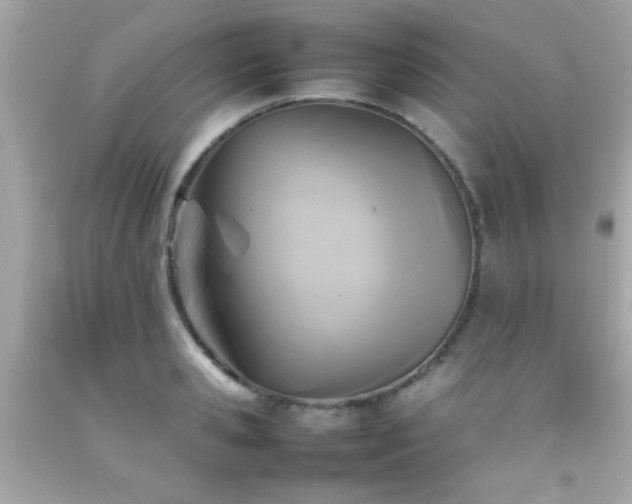 X0000092090941200709121510