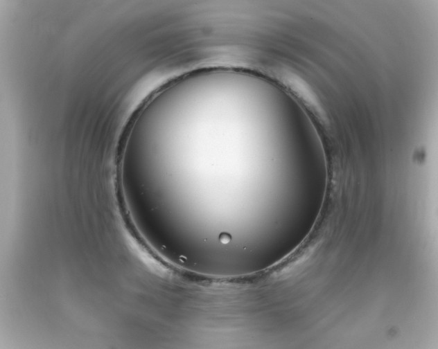 X0000092090942200709121510